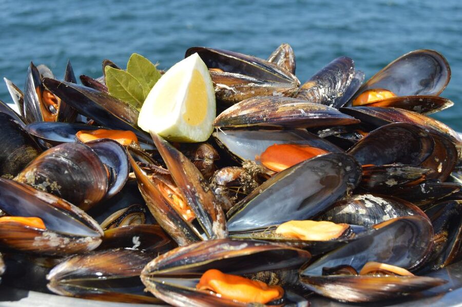 O Grove: Ría de Arousa Catamaran Tour with Seafood Lunch - The beach stop and chance to swim