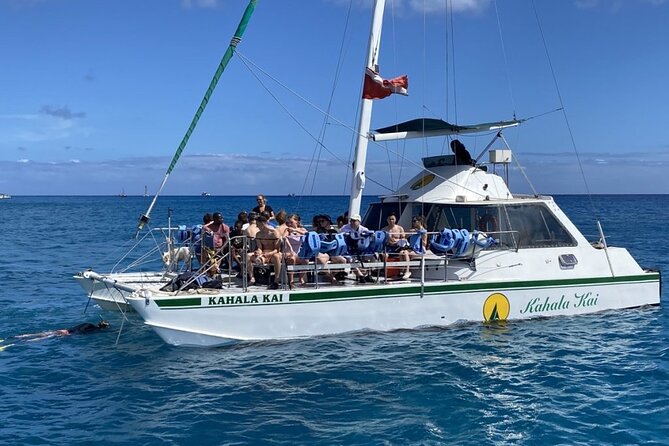 Oahu Catamaran Snorkel Tour: See Turtles 100% Guaranteed - Turtles, fish, and the possibility of bigger animals