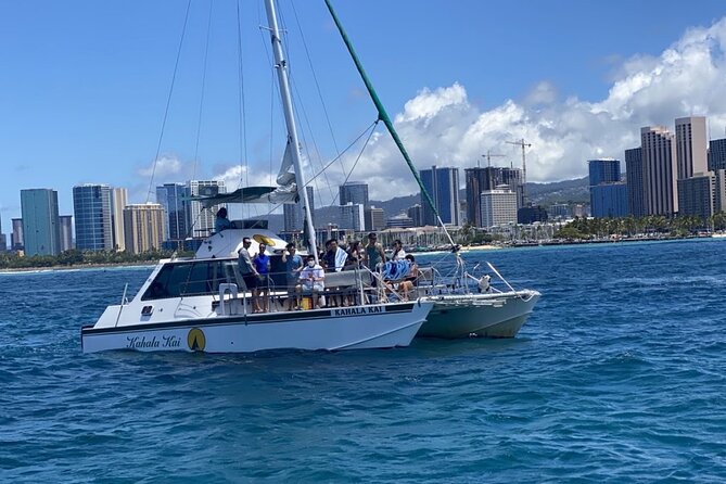 Oahu Catamaran Snorkel Tour: See Turtles 100% Guaranteed - Who will enjoy this most