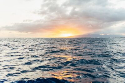 Waikiki Sunset Catamaran Cocktail Cruise