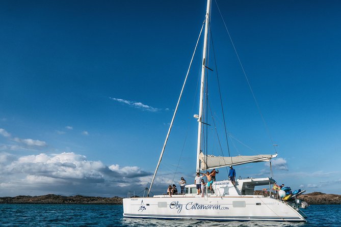 OBY Catamaran - Is $83.48 good value?