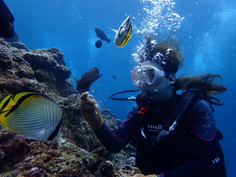 Onna: Blue Cave Snorkeling from Catamaran - Health rules are unusually important here