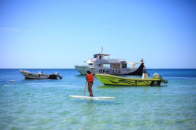 Ophelia Catamaran Cruises + Beach BBQ - A three-hour beach BBQ on the sand