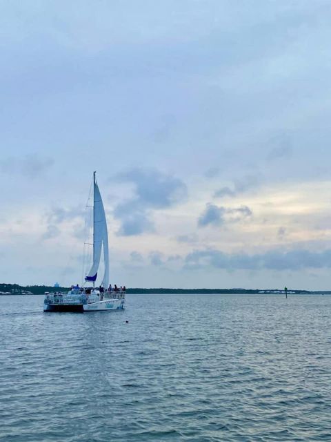 Orange Beach: Dolphin & Sailing Cruise Aboard 52' Catamaran - A smooth start through Wolf Bay
