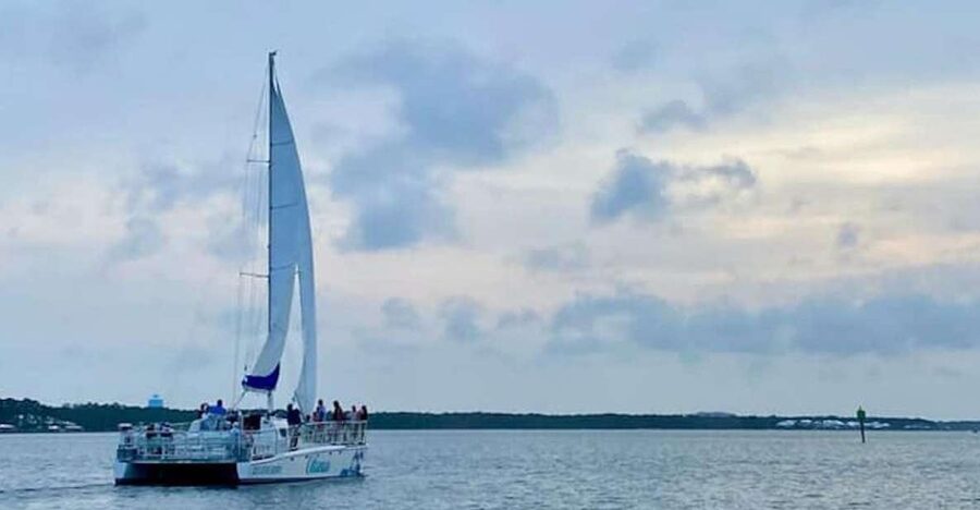Orange Beach: Dolphin & Sailing Cruise Aboard 52' Catamaran - The final stretch and return