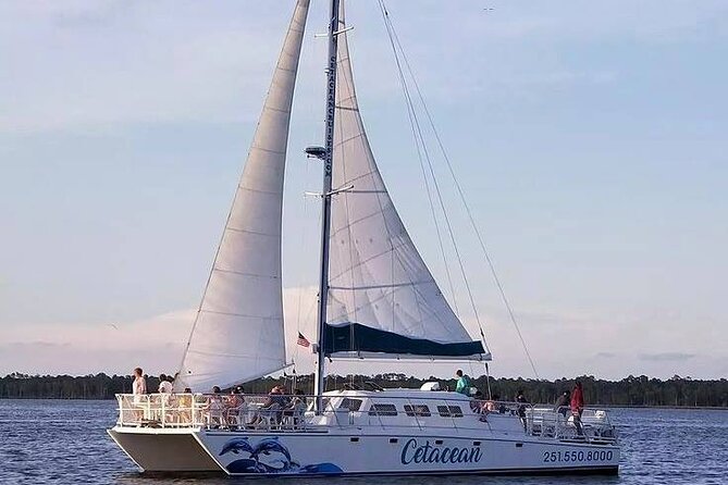 Orange Beach Dolphin Sailing Cruise aboard Catamaran - Timing, cancellation, and useful planning details