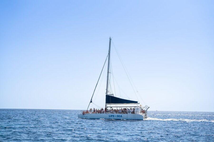 Palma: Catamaran Cruise with Swimming and Snorkelling - Key points to know before you book