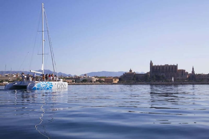 Palma de Mallorca: Deluxe Catamaran Sailing Tour with Meal - Food, drinks, and the real cost of $97