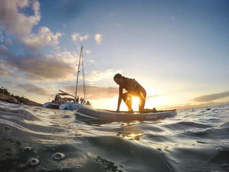 Palma de Mallorca: Deluxe Catamaran Sailing Tour with Meal - Who will enjoy the Oasis most?