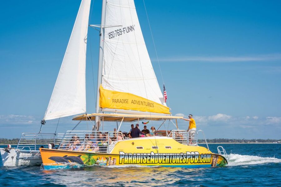 Panama City Beach: Dolphin Sightseeing Trip by Catamaran - Quick points before you book