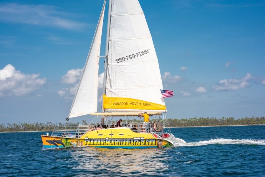 Panama City Beach: Dolphin Sightseeing Trip by Catamaran - What the crew adds to the experience