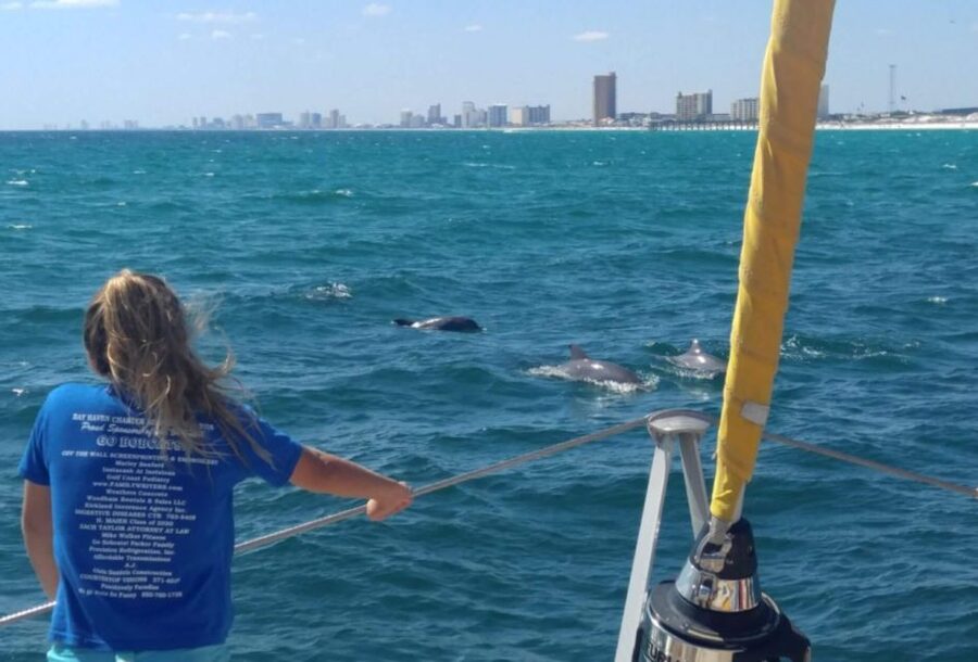 Panama City Beach: Dolphin Sightseeing Trip by Catamaran - Music, drinks, and the small comforts