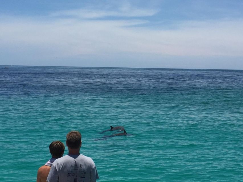 Panama City Beach: Dolphin Sightseeing Trip by Catamaran - Who will enjoy this catamaran trip