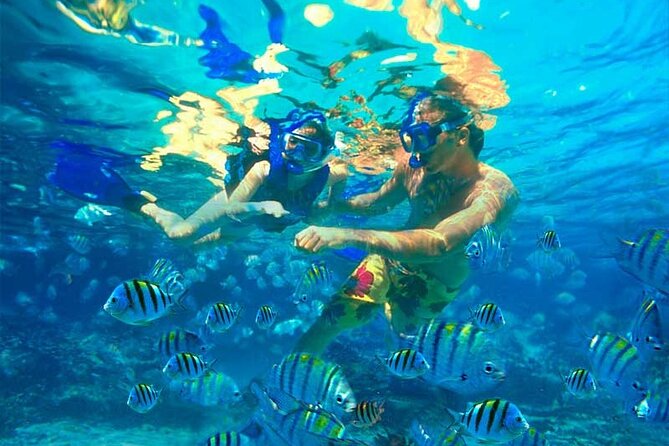 Party Boat Catamaran with Snorkeling from Punta Cana - Is This Suitable for Children?