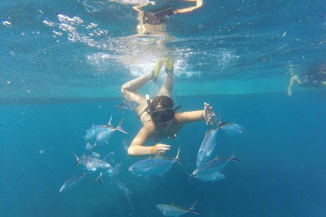 Party boat in Catamaran with Open Bar Only Adults + Snorkeling - How much value do you get for $52.25?