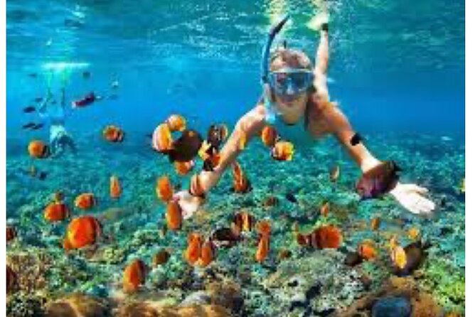 Party Catamaran and Snorkeling Tour in Montego Bay - Who will enjoy this most?