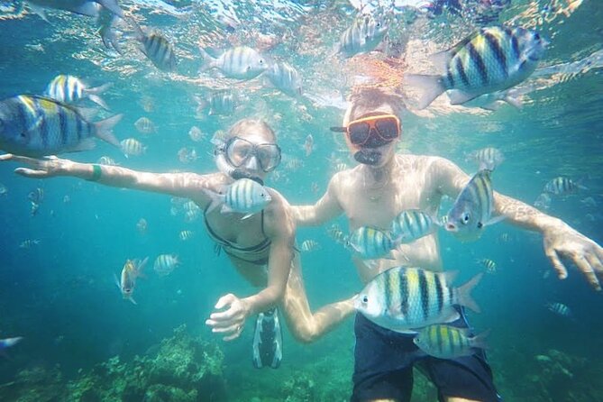 Party Catamaran Cruise with Open Bar and Snorkeling Montego Bay - Morning departures and afternoon adult cruises