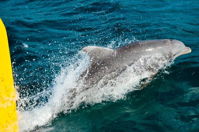Party Catamaran: OpenBar, Music, Negril Beach, Caves, Snorkeling - Arriving at Rick’s Cafe by sea
