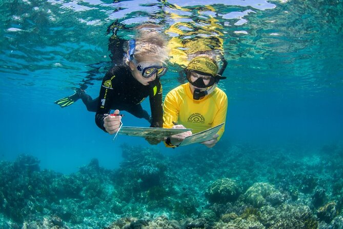 Passions of Paradise Great Barrier Reef Cruise by Catamaran - Snorkeling support is a major strength