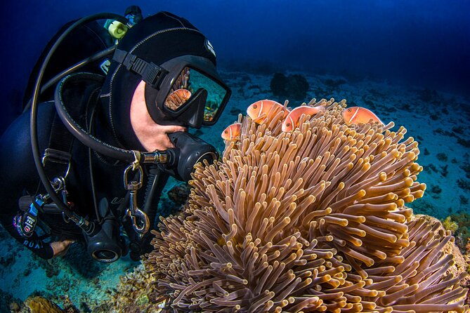 Passions of Paradise Great Barrier Reef Cruise by Catamaran - The reef experience depends on the weather