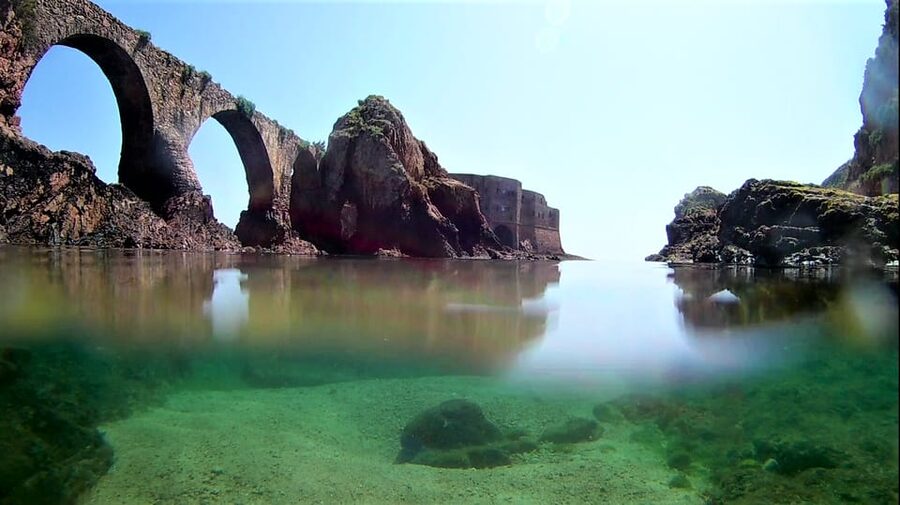 Peniche: Berlengas Island Catamaran Tour + Snorkeling - Who Will Enjoy This Trip Most