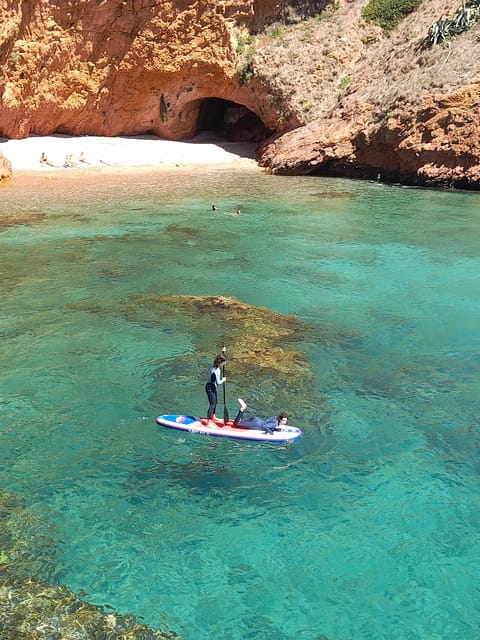 Peniche: Berlengas Island Catamaran Tour + Stand Up Paddle - Sea Caves, Coastal Cliffs, and Dolphin Watch