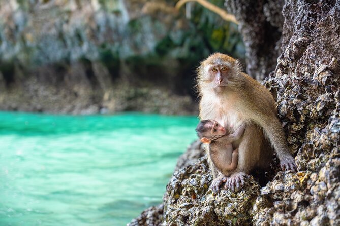 Phi Phi 1 Day tour by speed catamaran with Phuket transfers - Bamboo Island for Sand and Swimming
