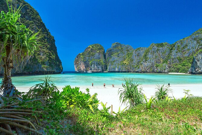 Phi Phi & Bamboo Island Full Day Tour by Premium Speed-Catamaran - What the guides add to the day