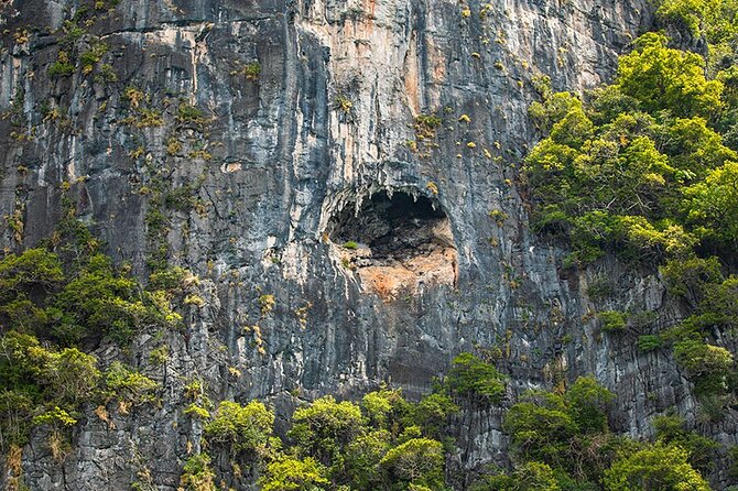 Phi Phi, Maya, Khai and Pileh Day Trip by Speed Catamaran From Phuket - Monkey Beach and Monkey Bay: scenic stop with limited time