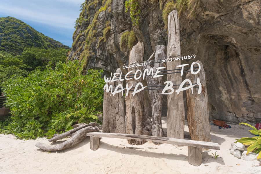 Phuket: Bamboo Island and Phi Phi Islands by Fast Catamaran - Pickup from Phuket and the Royal Phuket Marina