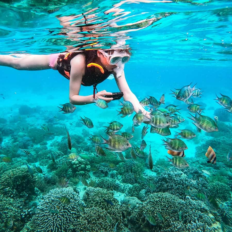 Phuket: Coral and Racha lslands Catamaran Tour with Lunch - What to pack for a smoother day
