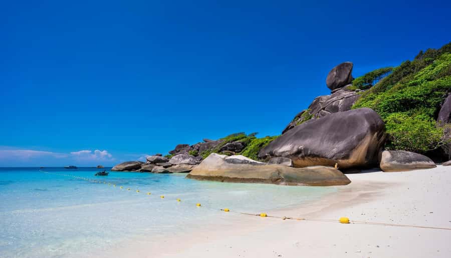 Phuket/Khaolak: Similan Islands Speed Catamaran Premium Trip - Is $131 a fair price?