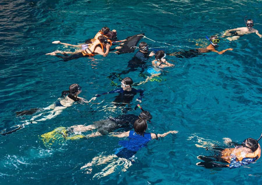 Phuket/Khaolak: Similan Islands Speed Catamaran Premium Trip - Who should book this Similan Islands trip?