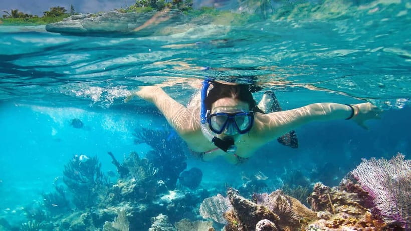 Phuket : Lazy Similan Islands by Catamaran with lunch - The second snorkeling session at Islands No. 5 and 6