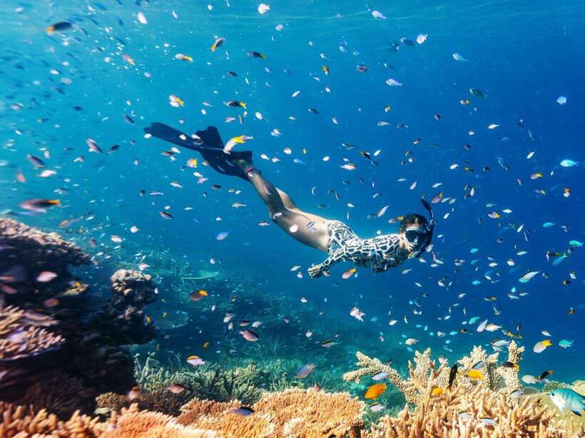 Phuket: Phi Phi, Maya and Khai Or Bamboo Island by Catamaran - Starting at Royal Phuket Marina
