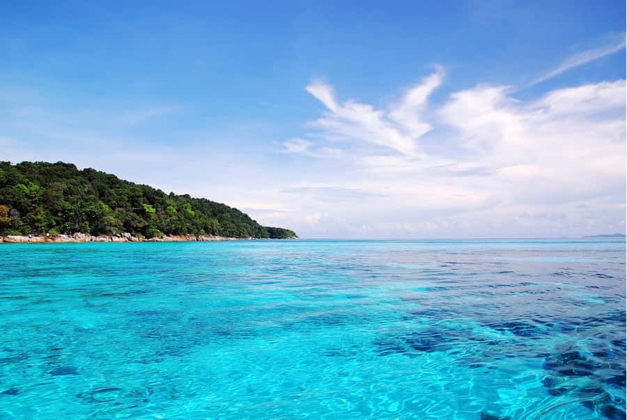 Phuket: Similan Island Day Trip by Speed Boat Catamaran - Group size, comfort, and the catamaran wording