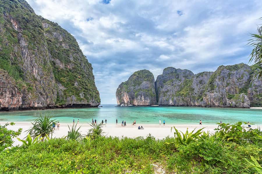 Phuket: Ultimate Phi Phi & Maya Bay Speed Catamaran Tour - A morning transfer to AA Marina