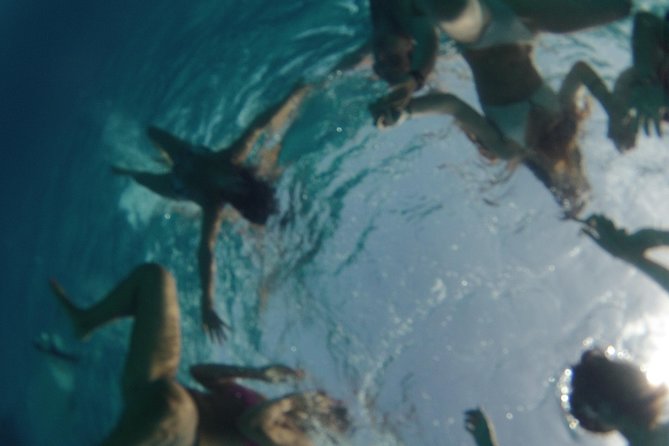 Platja de Migjorn Private Catamaran Full Day Trip - The real cost: better for 8 to 12 people