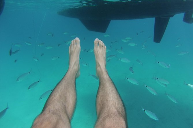 Playa Es Arenals Catamaran Private Full Day Trip - A full day from Es Molí de Sal to Playa Es Arenals