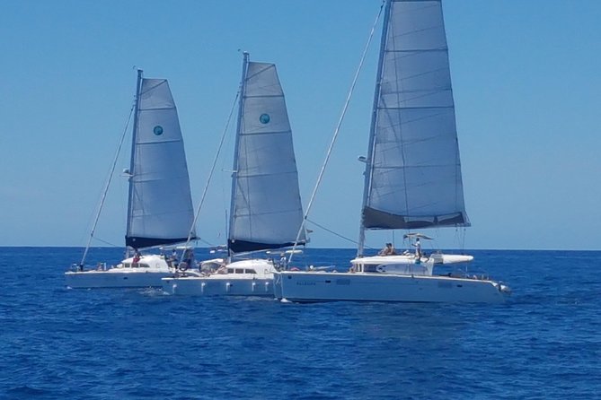Playa Ses Platgetes Catamaran Private Trip - Seven hours on Formentera’s southern coast