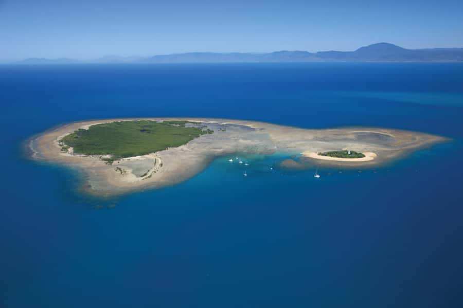 Port Douglas: Low Isles Afternoon Cruise on Luxury Catamaran - The best parts of the Low Isles cruise