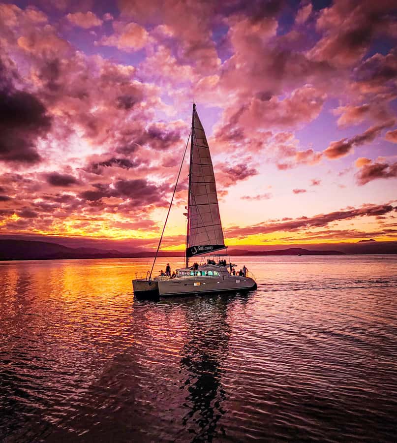 Port Douglas: Low Isles Afternoon Cruise on Luxury Catamaran - Who should book this cruise?