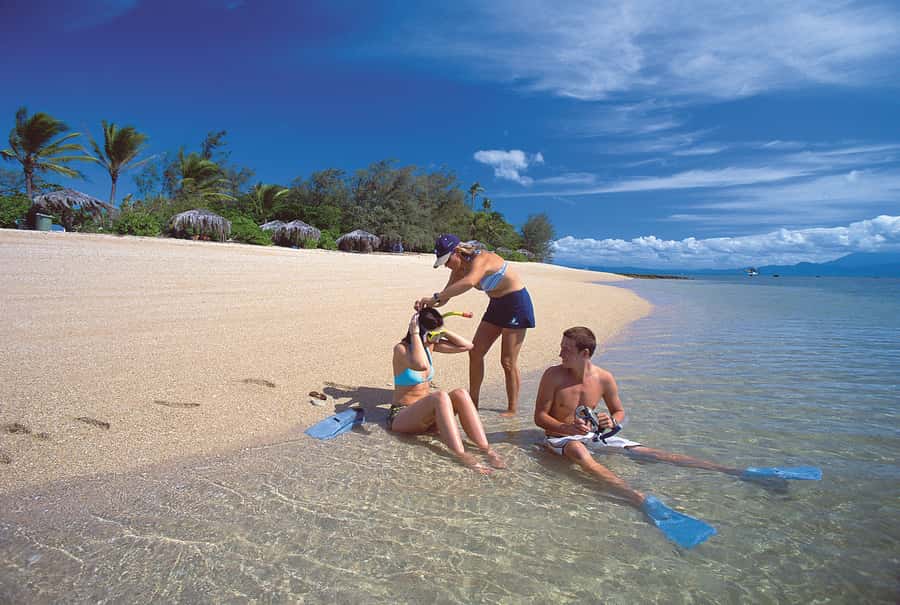 Port Douglas: Low Isles Afternoon Cruise on Luxury Catamaran - Should you book the Low Isles afternoon cruise?