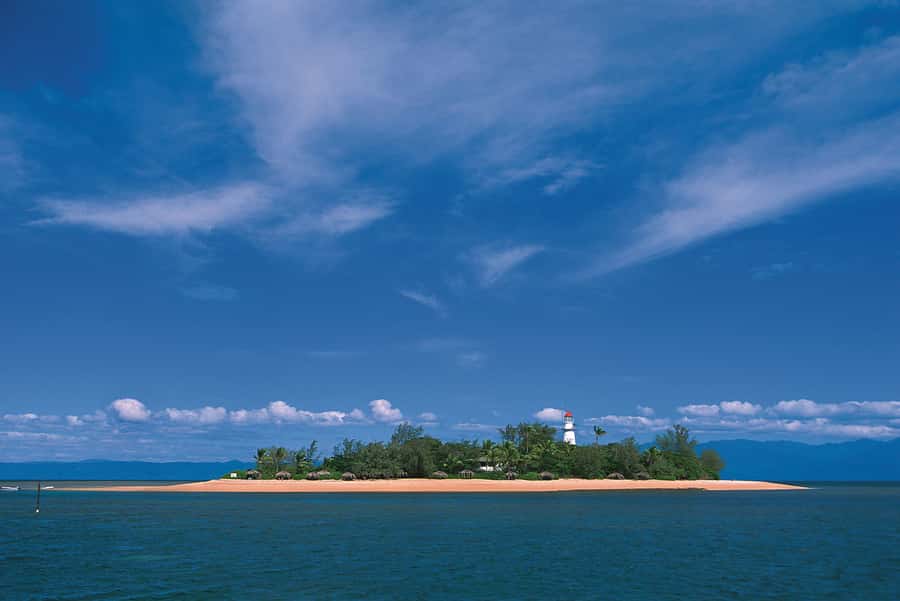 Port Douglas: Reef & Low Isles Cruise on Luxury Catamaran - Lunch, tea, and the real value of the $240 price