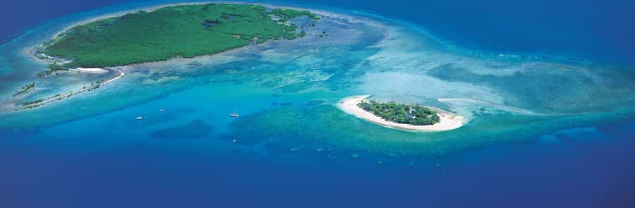 Port Douglas: Reef & Low Isles Cruise on Luxury Catamaran - Crew service and the small-group advantage