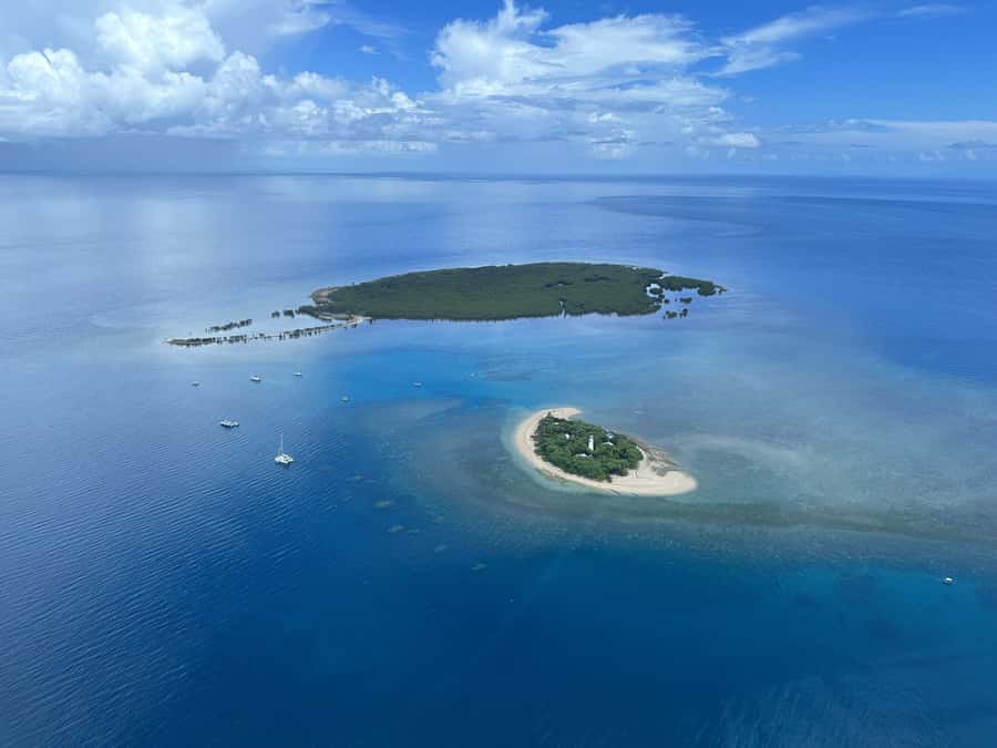 Port Douglas: Reef & Low Isles Cruise on Luxury Catamaran - Who should choose this reef trip?