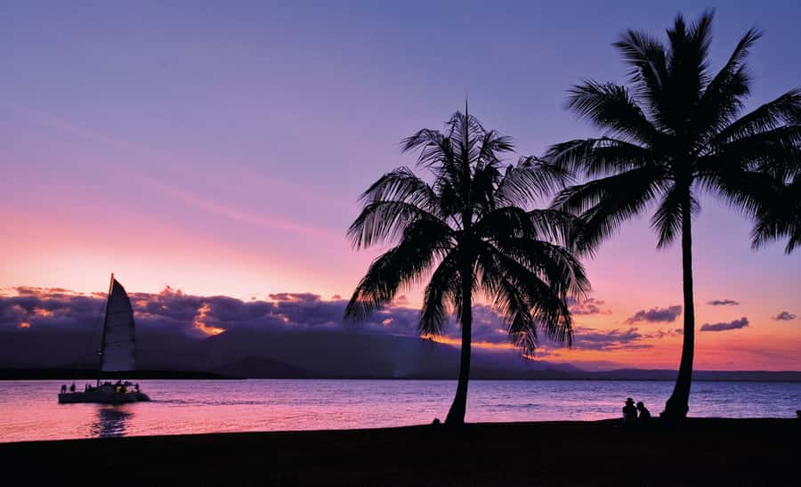 Port Douglas: Sunset Sailing Cruise on Luxury Catamaran - Service that shapes the evening