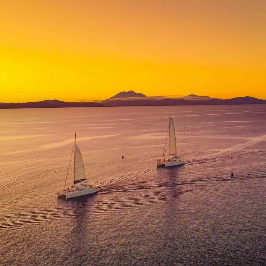 Port Douglas: Sunset Sailing Cruise on Luxury Catamaran - Who may prefer a different Port Douglas activity