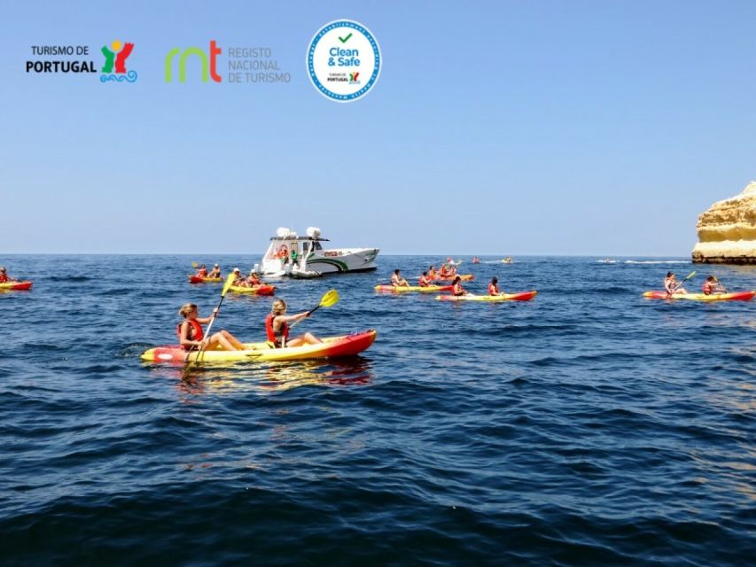 Portimão: Private Benagil Caves Catamaran and Kayak Tour - From Portimão Marina to the open Algarve coast