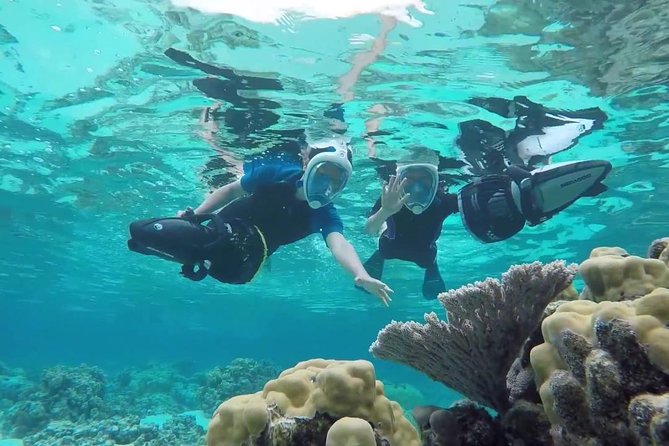 Premium Catamaran Afternoon Sail: Snorkeling and Lunch - The Antilla wreck is the headline stop